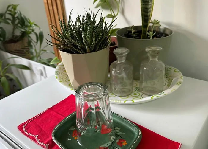 Monoambiente Amueblado En El Centro De La Plata